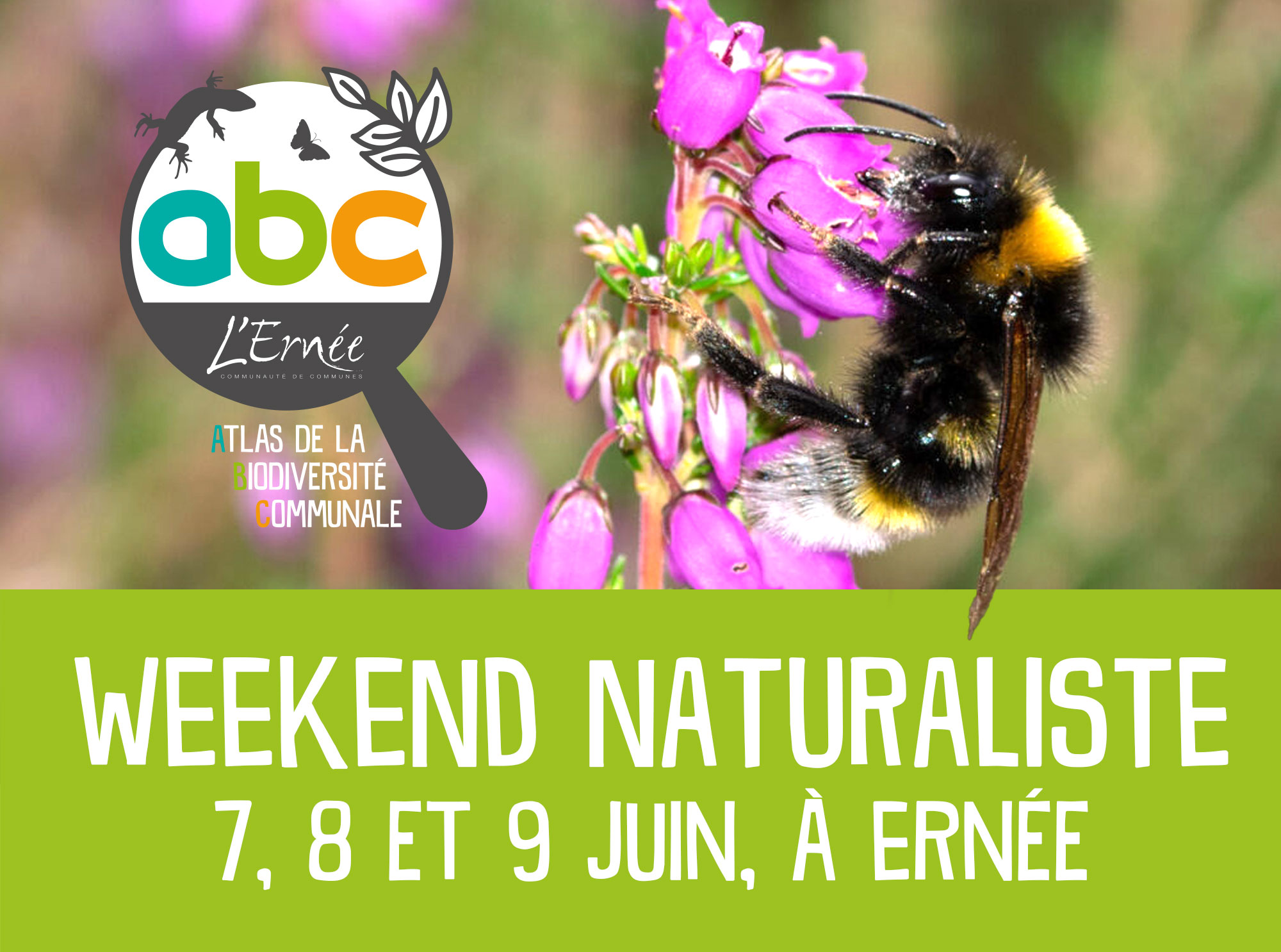 Week-end naturaliste à Ernée - Atlas de la Biodiversité (inter)Communal