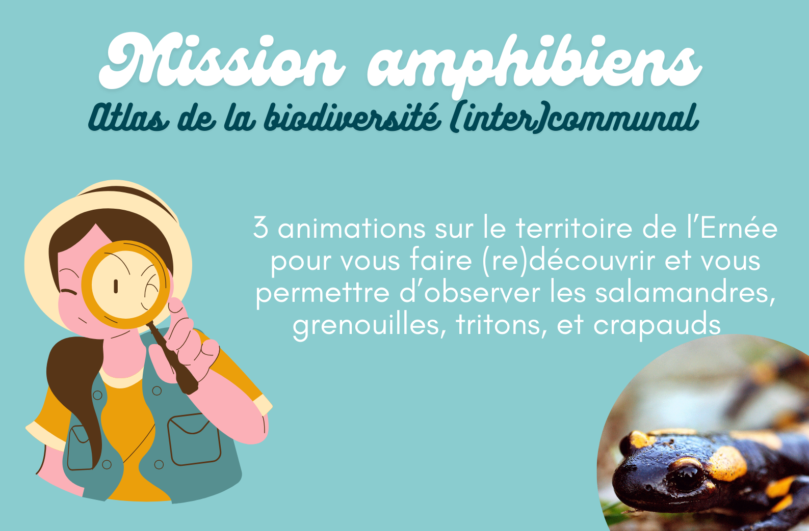 Mission amphibiens : sorties nature